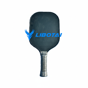 ไม้พายพิคเคิลบอลพรีเมียม - Product Image 1