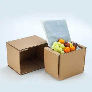 Individuell Bedruckte Isolierte Schaum Verschiffen Box für Lebensmittel Verpackung Karton Kühltasche Fleisch Box Karton fisch transport box
