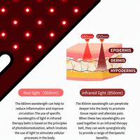 Enveloppe de luminothérapie LED rouge pour pattes d'animaux (chien/chat) – Sûre pour la récupération post-chirurgicale