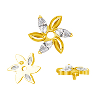 Fleur Piercing Bijoux Titane CNC Ensemble Marquise CZ Pavé Labret Top Boucle D'oreille pour Femme Homme