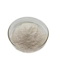 Fourniture de Chewing-Gum naturel arabe à mâcher, prix de la gomme arabe