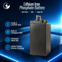 Baterai Lithium Iron Phosphate 48V untuk Sepeda Listrik, Daya Tahan Temperatur Tinggi, Pilihan Aman untuk Tenaga Sepeda Listrik