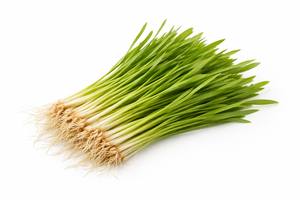 TW Hordeum Vulgare Sprout PDRN 1000ppm, matière première cosmétique dérivée de céréales botaniques, ingrédient actif polynucléotidique - Product Image 4