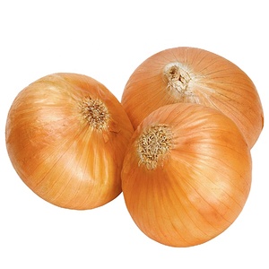 Top Quality Chinese <strong>Onion</strong> for Sale - Product Image 1