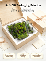 Mousse stabilisée décorative intemporelle, mousse préservée pour terrarium, jardin magique, idéal pour la décoration de bureau et de maison