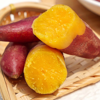 FD Zoete Aardappel Schilchips Zoet Watergeconserveerd Gezonde Smaak Klaar om te eten 50g Bulkverpakking Gedroogd Fruit Yutangyuan Merk ISO