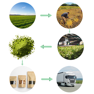 Poudre d'extrait de feuilles de Qasil pour un nettoyant naturel du visage et une routine de soin des cheveux favorisant l'éclat - Product Image 5