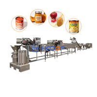 Ligne de purée de fruits et légumes Machine de traitement automatique de purée de pois d'une capacité de 500 à 2000 kg/h