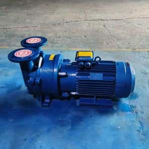 2BV Water Ring <b>Vacuum</b> <b>Pump</b> 380V Industrial <b>Pump</b> Head For Water Treatment Machinery - Product Image 4