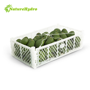 Factory Produce Plastic PP White Avocado Export <strong>Packing</strong> <strong>Crates</strong> for Shipping - Product Image 1