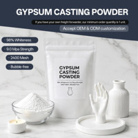 Poudre de gypse blanc pur 9,0 MPa sans bulles, sans taches foncées, poudre de moulage céramique pour la fabrication de bijoux DIY, moules à plateaux et artisanat