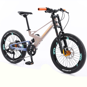 Istaride China Oem Wholesale 12 Speed Disc Aluminum Suspension Fork 20" Wheel Ns-sd019 Kids Bike - Product Image 3