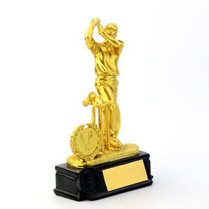 All'ingrosso personalizzato grande metallo souvenir sport award trofei e medaglie cup world prize 1st place gold cricket trophy per champion - Product Image 4