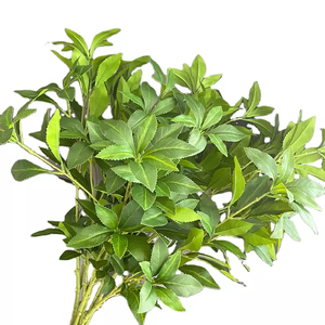 Offre Spéciale Artificielle <span class=keywords><strong>Pieris</strong></span> <span class=keywords><strong>Japonica</strong></span> Arbre pour Noël Thanksgiving Pâques Nouvel An Halloween & Graduation Décorations - Product Image 1