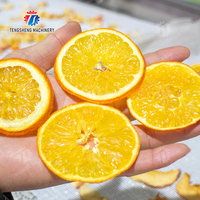 Energiebesparende, stille, automatische elektrische fruit- en groentedroger voor thuiskeuken en kleine catering- en snackwinkels
