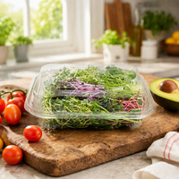Conteneurs d'emballage alimentaire personnalisés en PET recyclable pour sushis, gâteaux, nouilles, jus et boîtes de fruits et légumes – Approvisionnement direct usine
