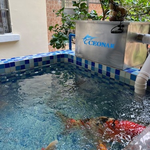 <span class=keywords><strong>บ่อ</strong></span>กรองน้ำระบบกรองบ่อ KOI พร้อมปั๊มระบบกรองสำหรับบ่อเลี้ยง<span class=keywords><strong>ปลา</strong></span> - Product Image 5