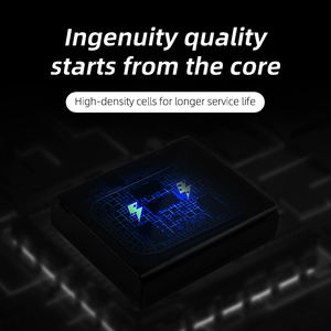 LX100 ZS60 카메라 DMC-GX7 Lumix DMC-GF6 위한 DMW-BTC9 충전식 배터리 팩 DMW-BLG10 배터리 - Product Image 5