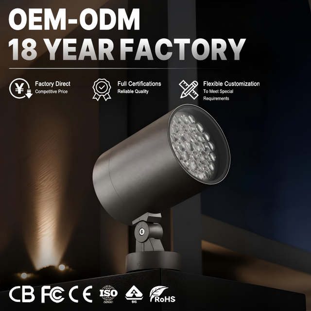 80W Single Color LED Spotlight IP65 Waterproof Exterior Airport Railway Station Seaport Architectural Lighting T200