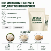 Extrait de Crinière de Lion en Poudre, Formule en Vrac, Ingrédient pour Boissons, Dosage Personnalisable, Marque Privée, OEM, Enzymes de Champignons
