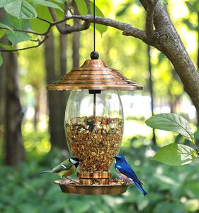 Tube mangeoire à oiseaux en acier transparent robuste et épais pour jardin, cour, patio, suspendu, pour attirer les oiseaux sauvages, avec support en métal pour graines sauvages - Product Image 5