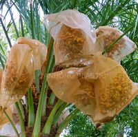 Datum Oogstzak Palm Dadelgaas Netzak Zwart Wit, Uv Behandeld Lange Levensduur