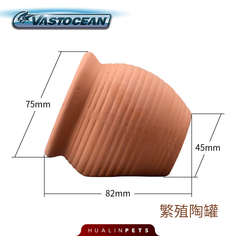 Vaso in ceramica per propagazione