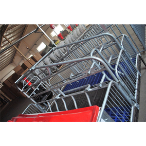 Attrezzatura per Ingrasso Suini, Gabbia per Maternità, Recinzione, Recinti per Ingrasso - Product Image 6