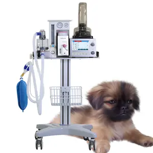 의학 동물 병원 수의사 통풍기 체계를 가진 수의 휴대용 무감각 체계