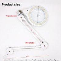 Lampe loupe LED dentaire à fixation par pince, bras pliable avec grossissement 3X/5X/8X pour table de travail de technicien dentaire
