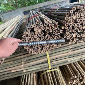 เสาไม้ไผ่มอสโกธรรมชาติสำหรับแผงผนังและของตกแต่งบ้าน - Product Image 6