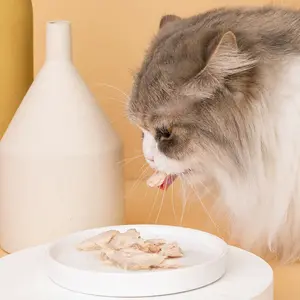 Çin fabrika en çok satan Oem yüksek beslenme evcil hayvan ödül maması islak kedi maması konserve köpek kedi maması 85G