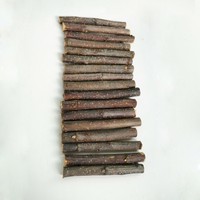 Jouet durable pour animaux de compagnie en branche de bois de pomme, matériau de mastication pour lapins, hamsters, chinchillas, chats, utilisation intérieure/extérieure