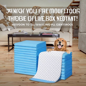 Tapete de Entrenamiento para Perros, Almohadillas Desechables para Cachorros de Grado Hospitalario - Product Image 1