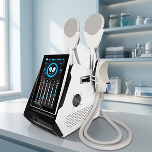 Appareil EMS populaire 2026 pour la musculation et l'amincissement, design de bureau avec fonctions de perte de poids ciblées pour le corps - Product Image 1