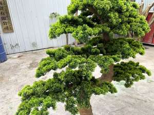 أشجار صناعية كبيرة، شجرة صنوبر حمراء للحدائق والديكور الخارجي، نباتات اصطناعية داخلية خضراء كبيرة - Product Image 5