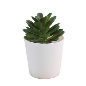 Duofu Mini olla de plástico combinación Decoración de mesa sensación planta de simulación bonsái maceta <span class=keywords><strong>artificial</strong></span> - Product Image 1