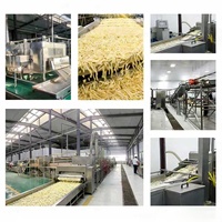 Groothandel Directe Verkoop Automatische Aardappelchips Productielijn Diepvries Frietenmachine