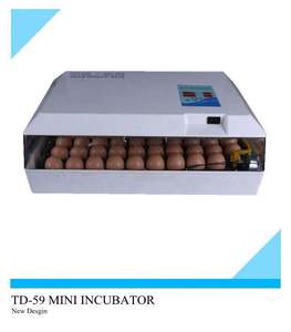 Incubadora de huevos automática de alta calidad, máquina para incubar huevos en Argel, oferta de 60 huevos en Amazon - Product Image 5