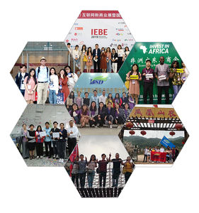 Shipping Company By Aramex da China para o Oriente Médio Arábia Saudita Emirados Árabes Unidos - Product Image 3