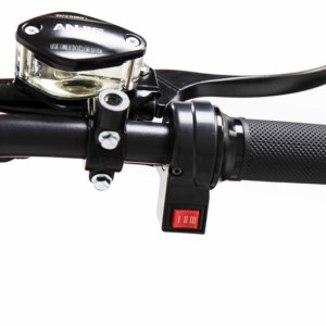 Scooter Elettrico 2000W 20AH in Stock nel Magazzino Europeo, Modello Citycoco - Product Image 2