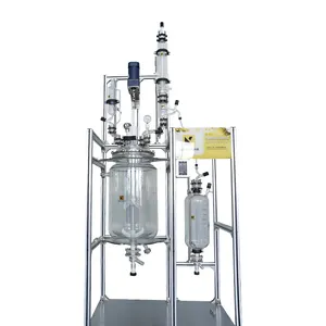 ASK 139 Reactor de vidrio Yhchem Laboratory Bioreactor 50 Liter Glass Reactor Price