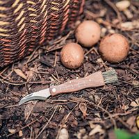Esschert Design 100% Manche en bois de hêtre FSC Lame en acier inoxydable Couteau à champignon, queue avec brosse