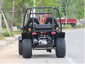 Nhà Máy Giá Rẻ 150cc/200cc 2 Chỗ Buggy Pass Giấy Chứng Nhận CE Hot On Sale - Product Image 6