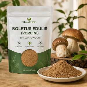 <span class=keywords><strong>Poudre</strong></span> <span class=keywords><strong>de</strong></span> champignons Porcini <span class=keywords><strong>de</strong></span> qualité supérieure, saveur authentique et terreuse, ingrédient écoresponsable pour assaisonnements et formules bien-être - Product Image 1