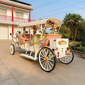 Chariot de tourisme à chevaux pour visites urbaines, faible MOQ, vente en gros - Product Image 6