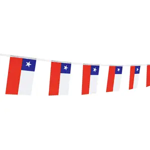 Chile Flag Chileans Flag National Country World Pennant Flags Banner,Party Decorations Supplies Intarnational Festival