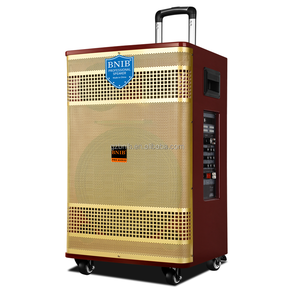 Новинка 2022 года, динамик для вечеринки ODM, динамик низкочастотный динамик с микрофоном, наружный динамик, дисплей, оптовая продажа