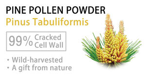 QINSHANTANG حبوب اللقاح الصفراء العضوية استخراج مسحوق حبوب الصنوبر المكملات الغذائية العشبية طبل العلامة التجارية الخاصة الصينية مسحوق حبوب لقاح الصنوبر - Product Image 3