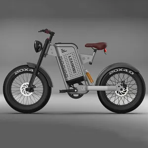 จักรยานไฟฟ้า50AH จักรยานไฟฟ้าสำหรับผู้ใหญ่1000W 48V จักรยานยนต์ภูเขาขนาด20นิ้วสำหรับผู้ชายเบรกน้ำมันไฮดรอลิกจักรยานไฟฟ้า